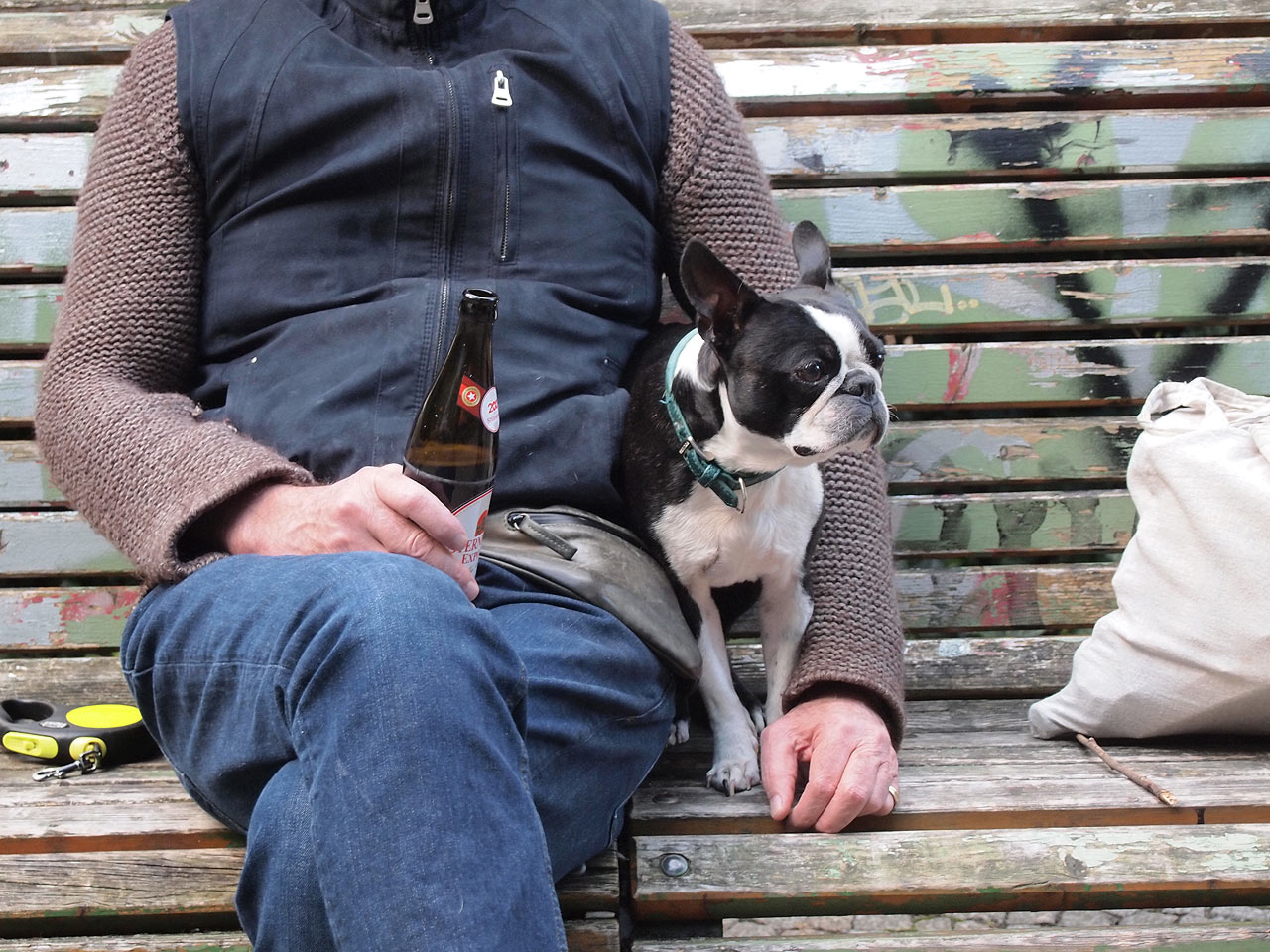 A dog and its owner, sitting on a park bench and drinking beer.