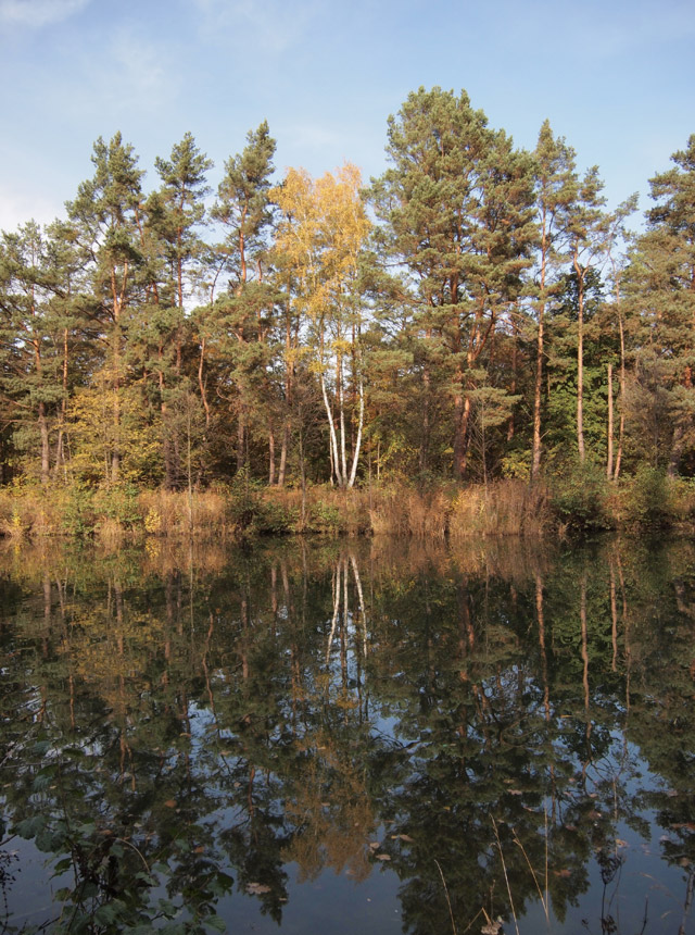Trees and autumn foliage reflected in the river.